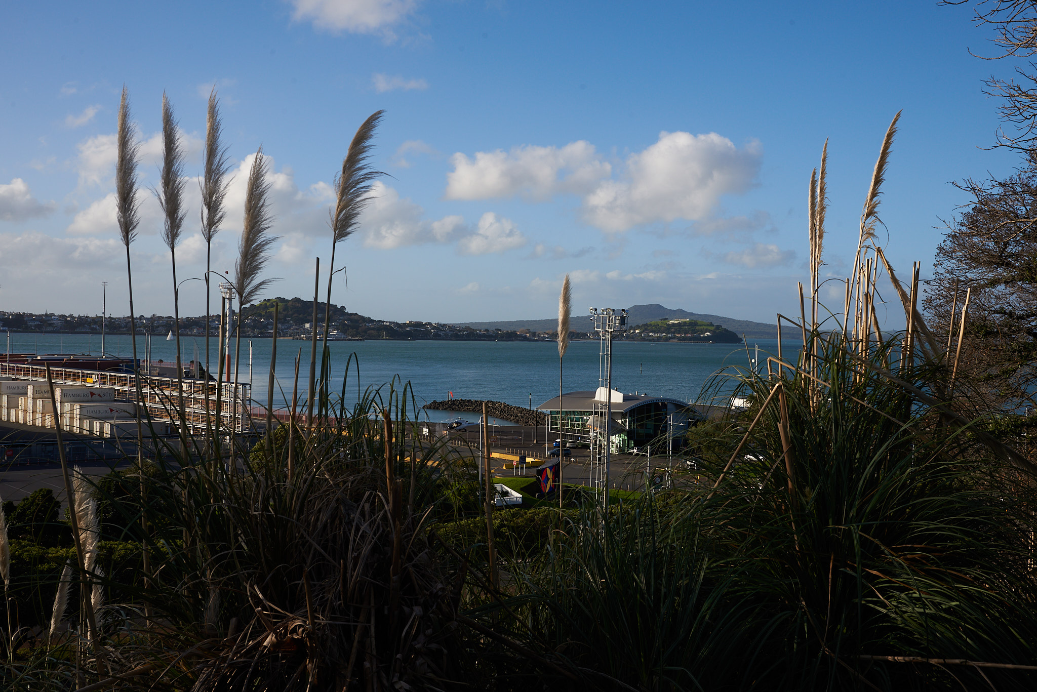 Around Auckland