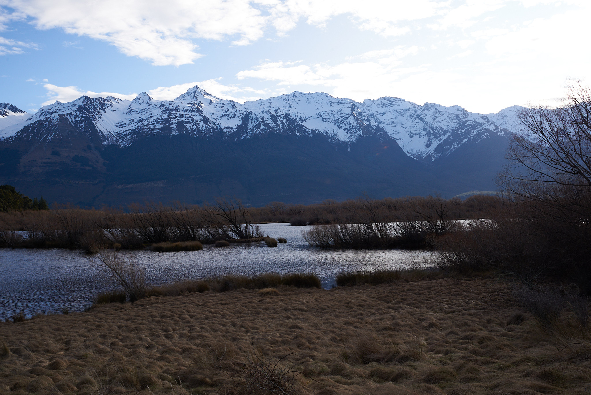 Glenorchy meadow