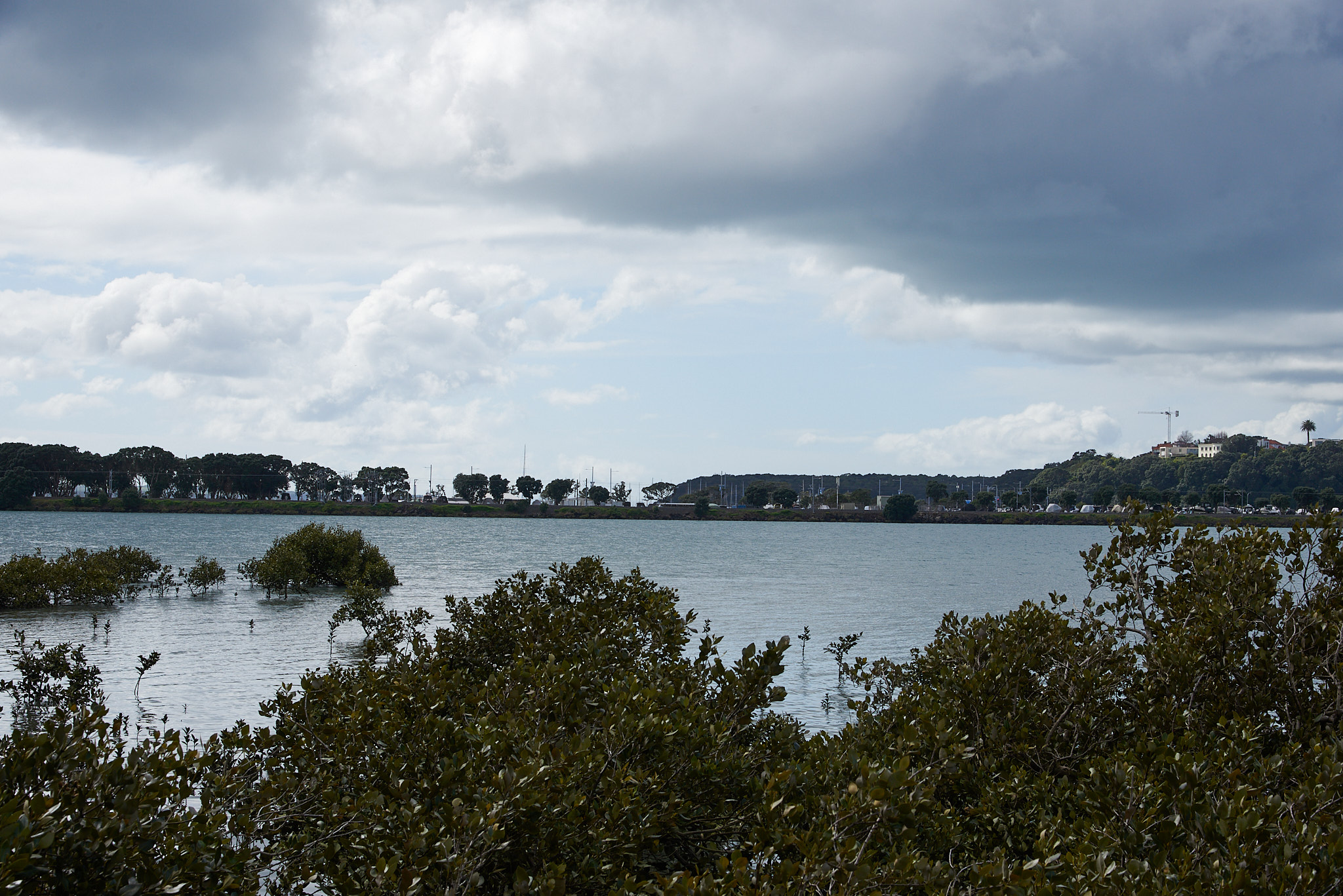 Start of Hobson Bay West Path