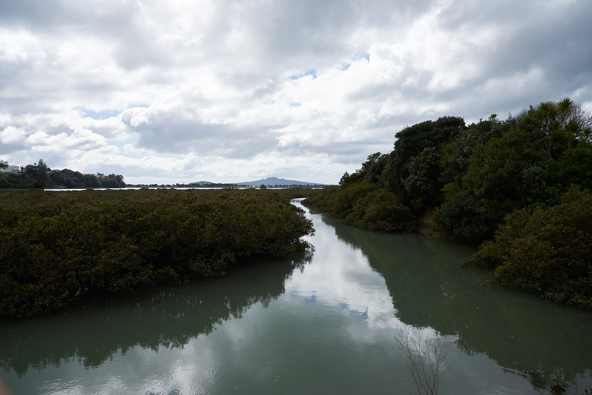 Rangitoto