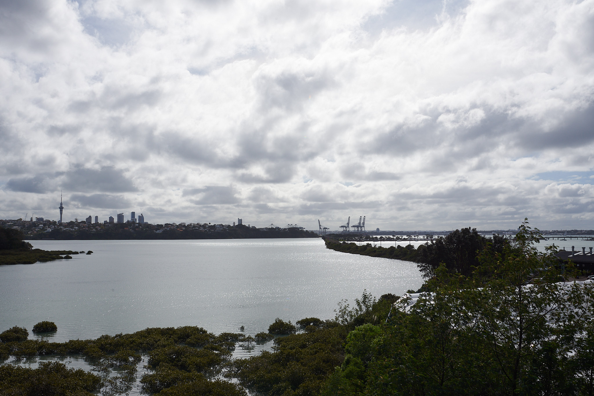 Downtown from Orakei