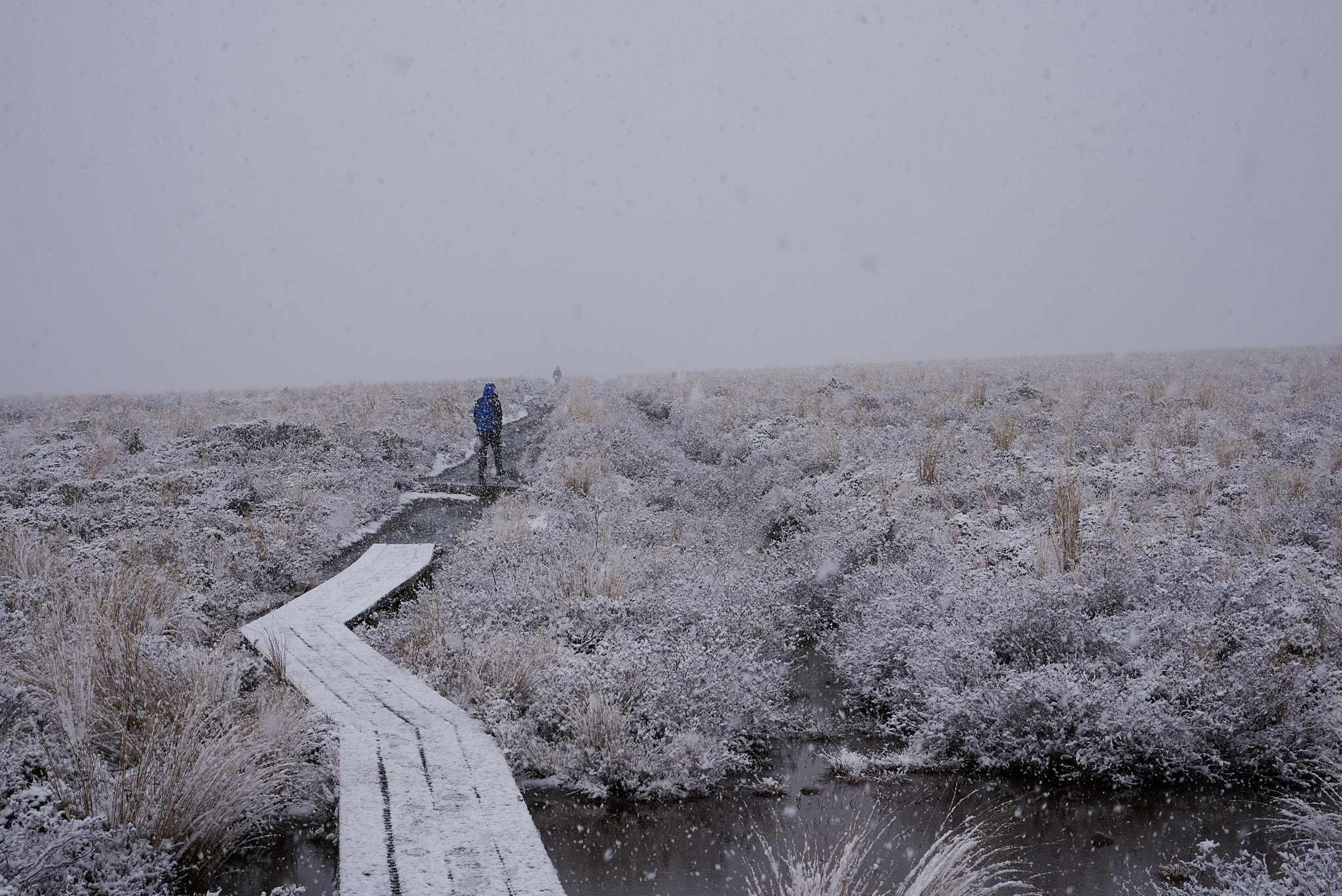 Snowy track