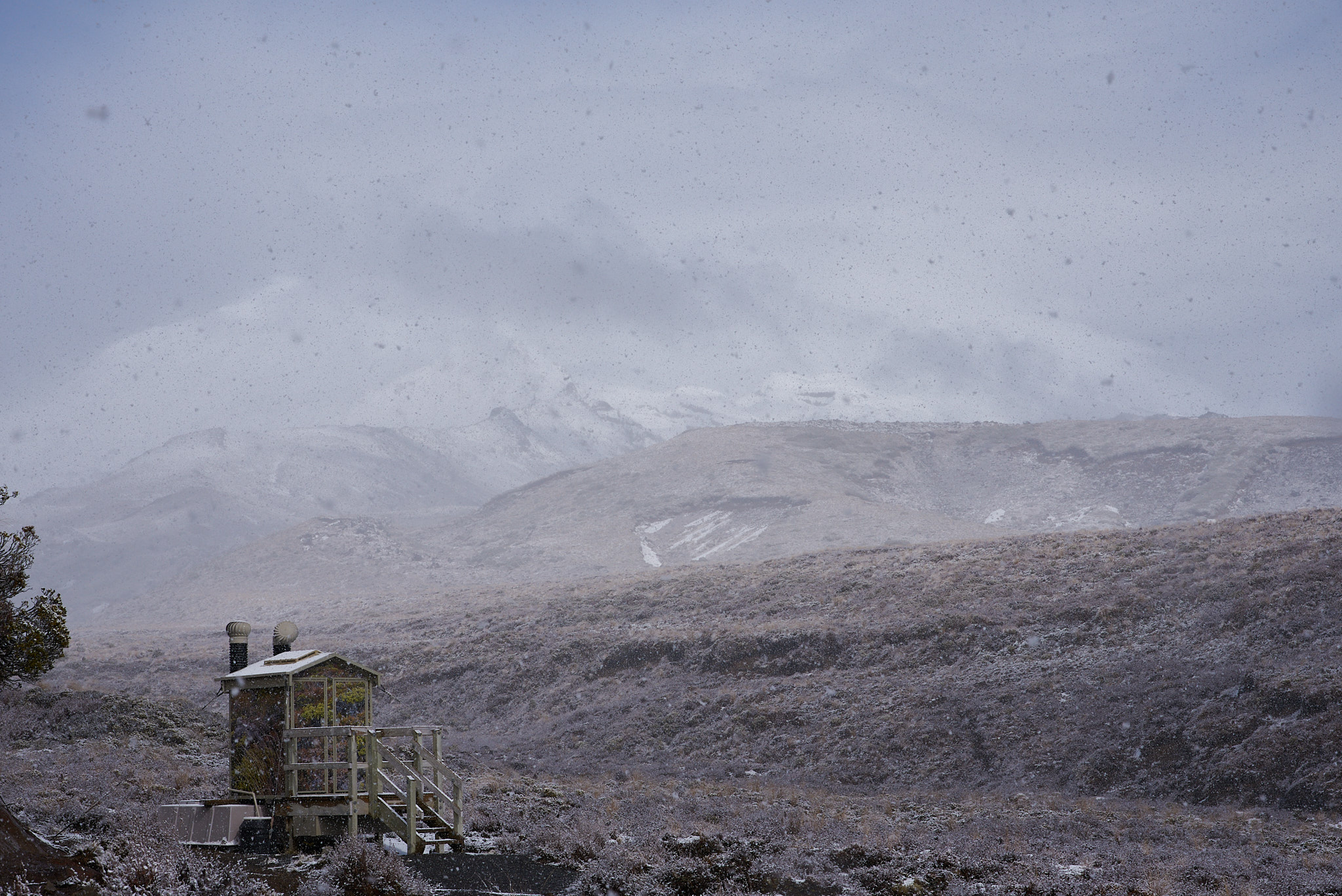 Ruapehu in snow