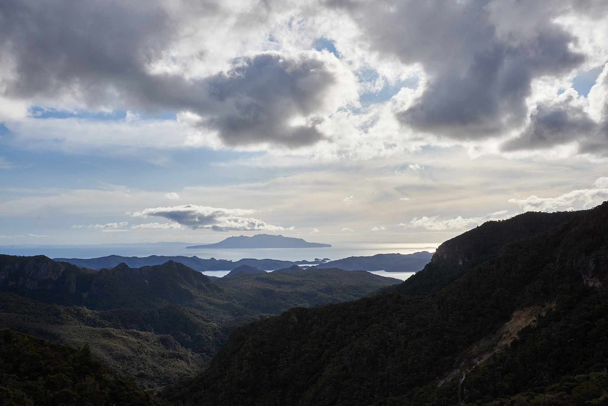 Mt Heale hut views