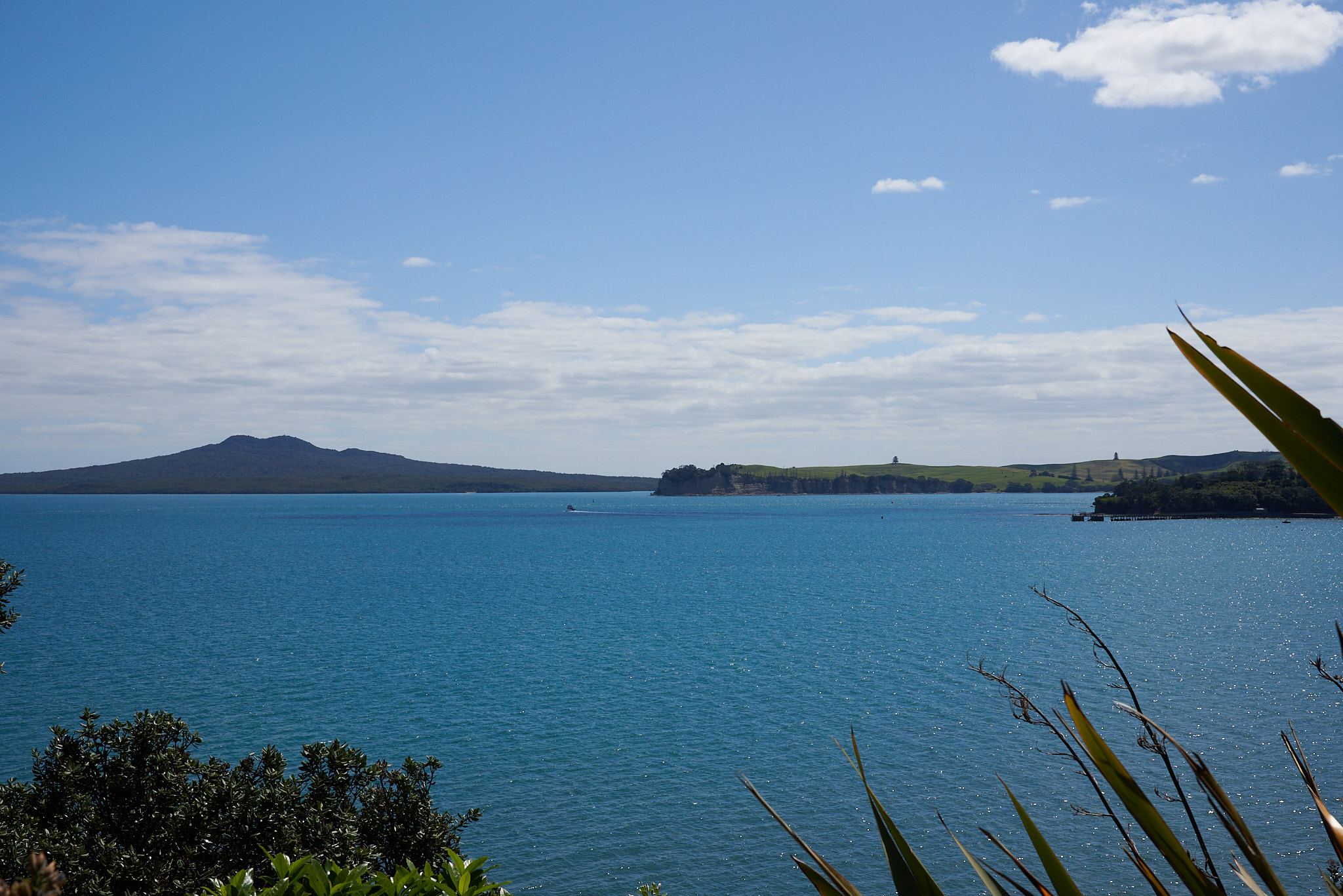 Rangitoto view