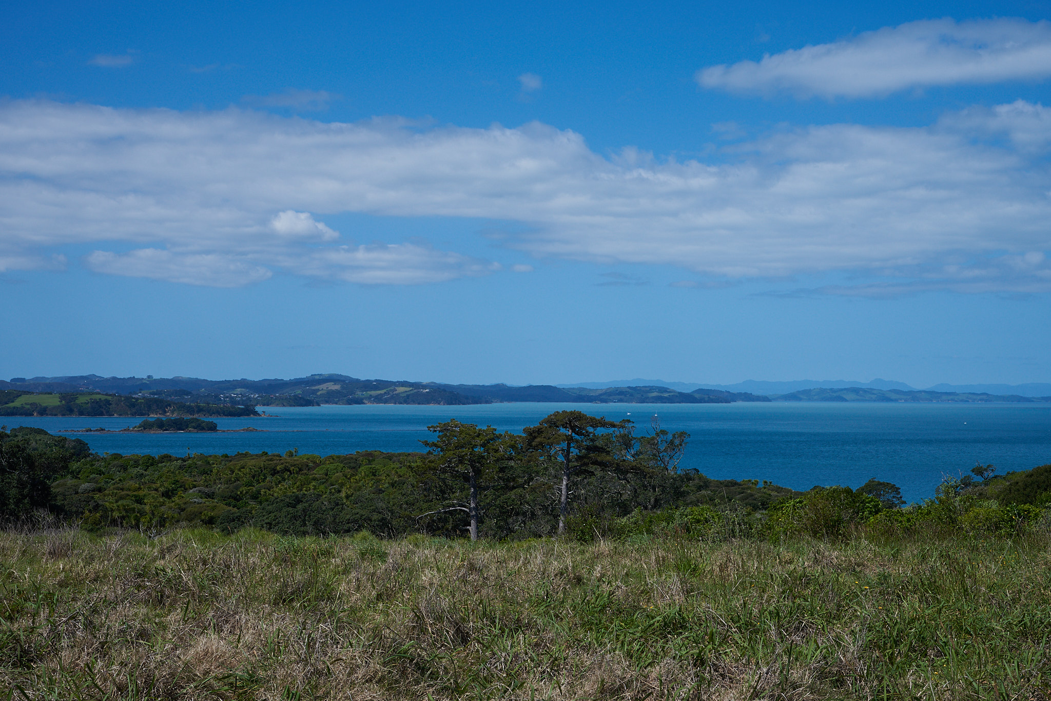 Waiheke