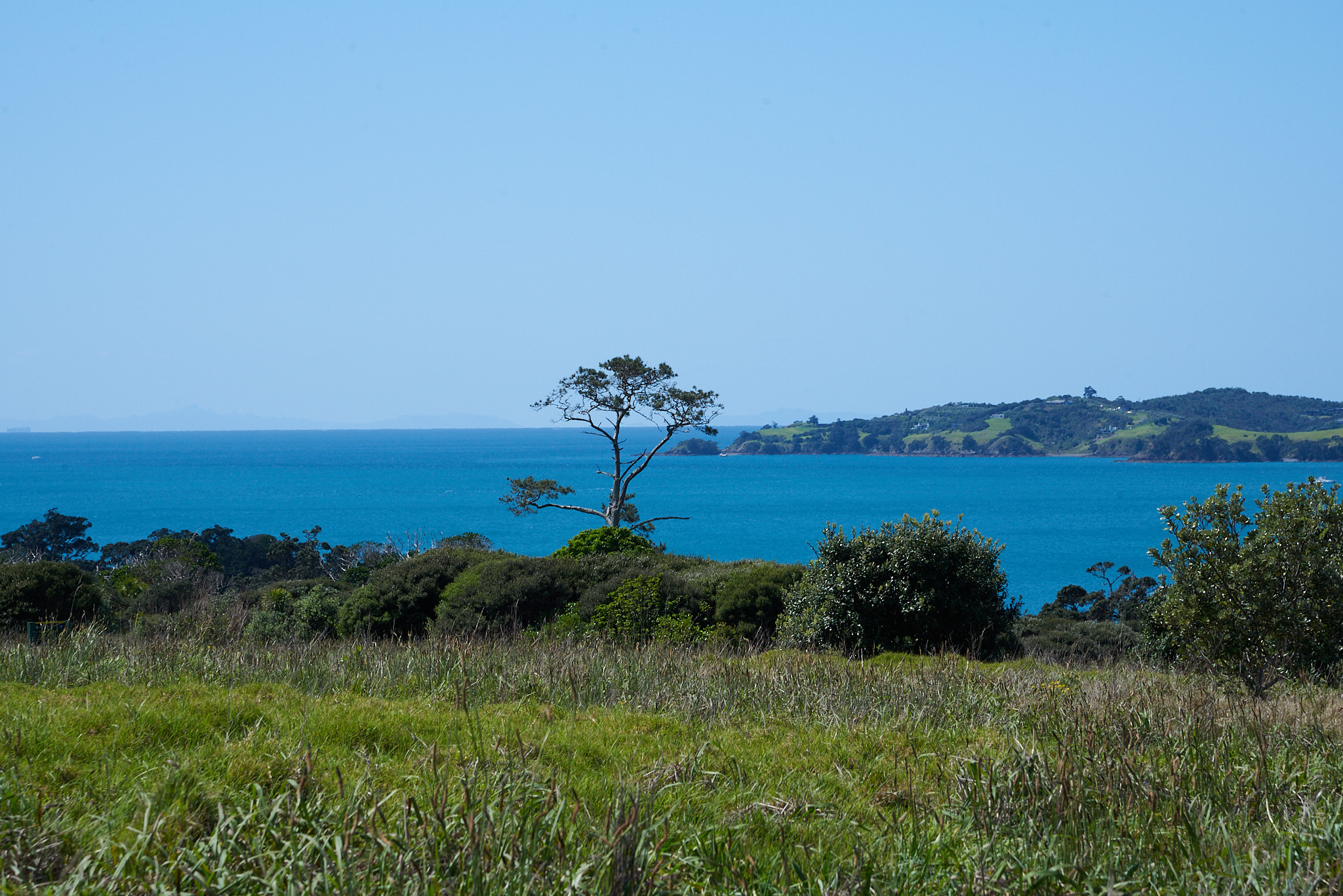 Waiheke